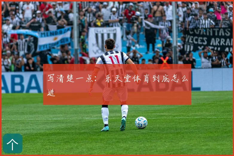 写清楚一点：乐天堂体育到底怎么进